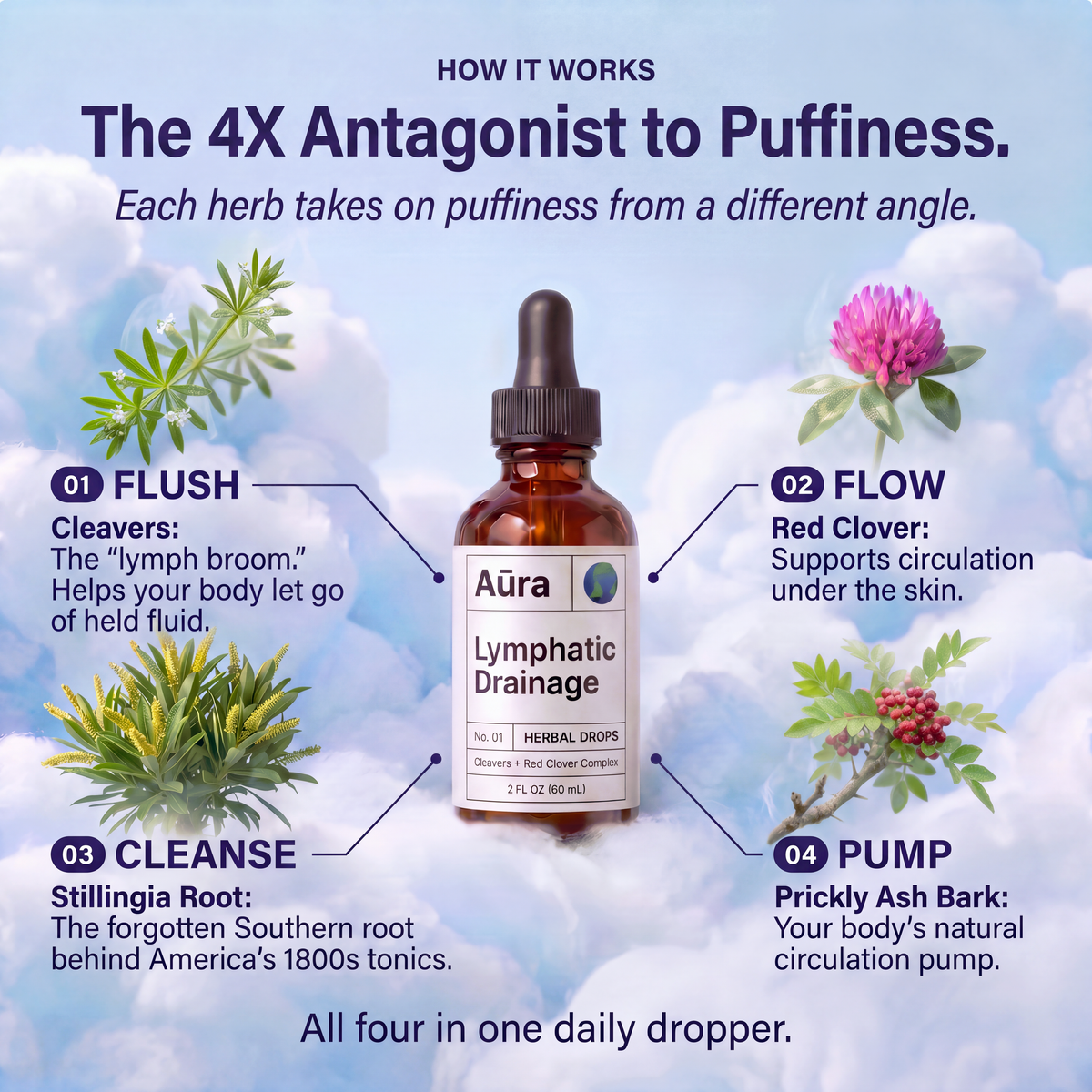 How it works: the 4X antagonist to puffiness with cleavers, red clover, stillingia root and prickly ash bark